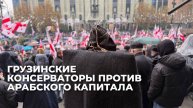 В Тбилиси протестуют против арабских инвестиций и бесконтрольной миграции