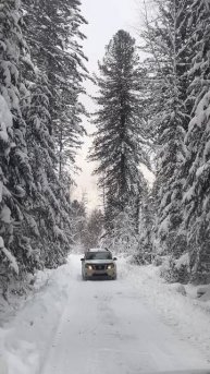 Горный Алтай АлександрАнтоненко #влог #рилс #reels #природа #горныйалтай #алтай #горный