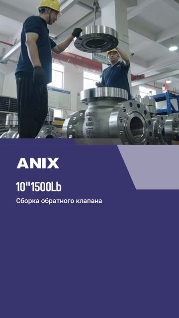 10''1500Lb Сборка обратного клапана-ANIX