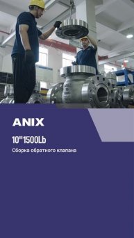 10''1500Lb Сборка обратного клапана-ANIX