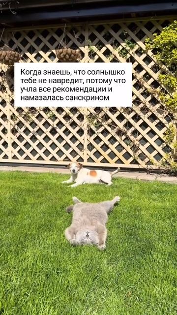 Кто любит позагорать?