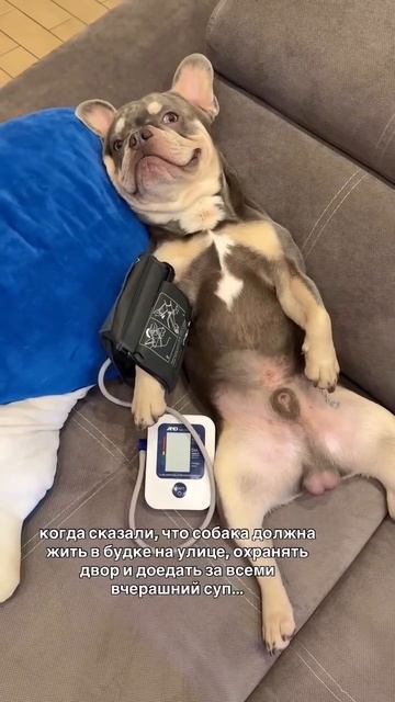 Старость пришла