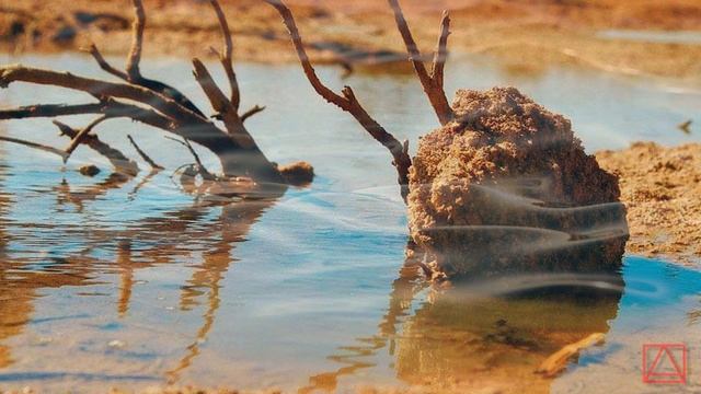 Св. Кассиан Римлянин Десять собеседований отцов ч40