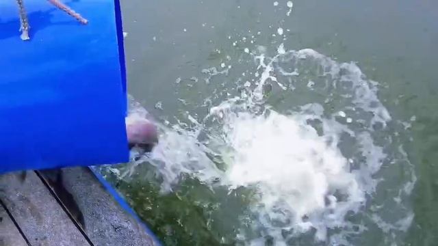 запуск 08.12.25