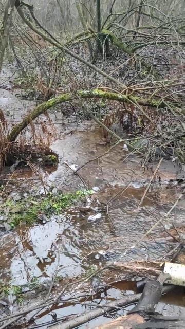 6 декабря 2025 год