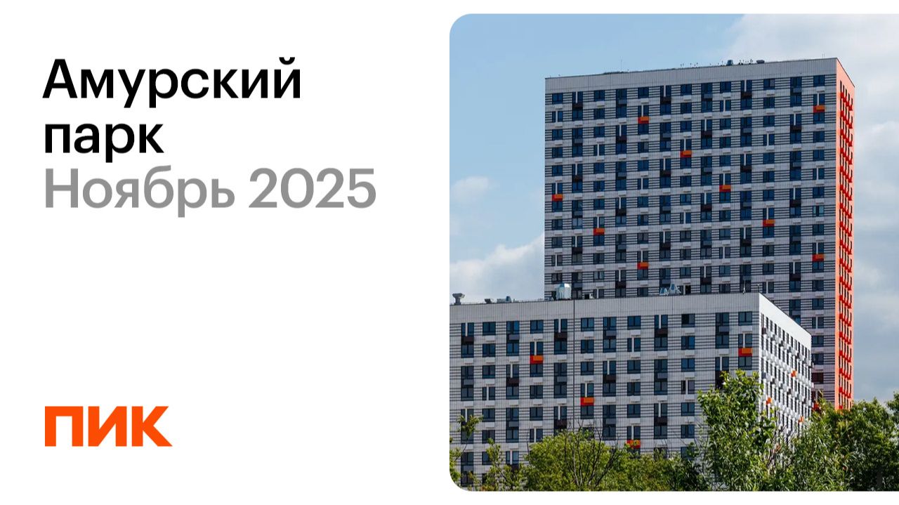 Амурский парк 29.11.2025