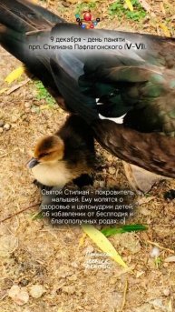 Кому молиться о здоровье и благополучии детей...