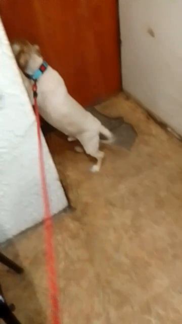 За сегодня постараюсь рассказать все наши новости, но начну с одной из хороших) Вчера наконец-то мы