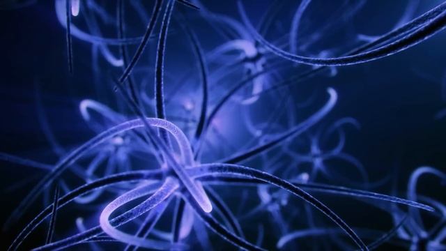 Повышение мощности мозга,повышение интеллекта,изучение музыки,бинауральные ритмы,улучшение памяти