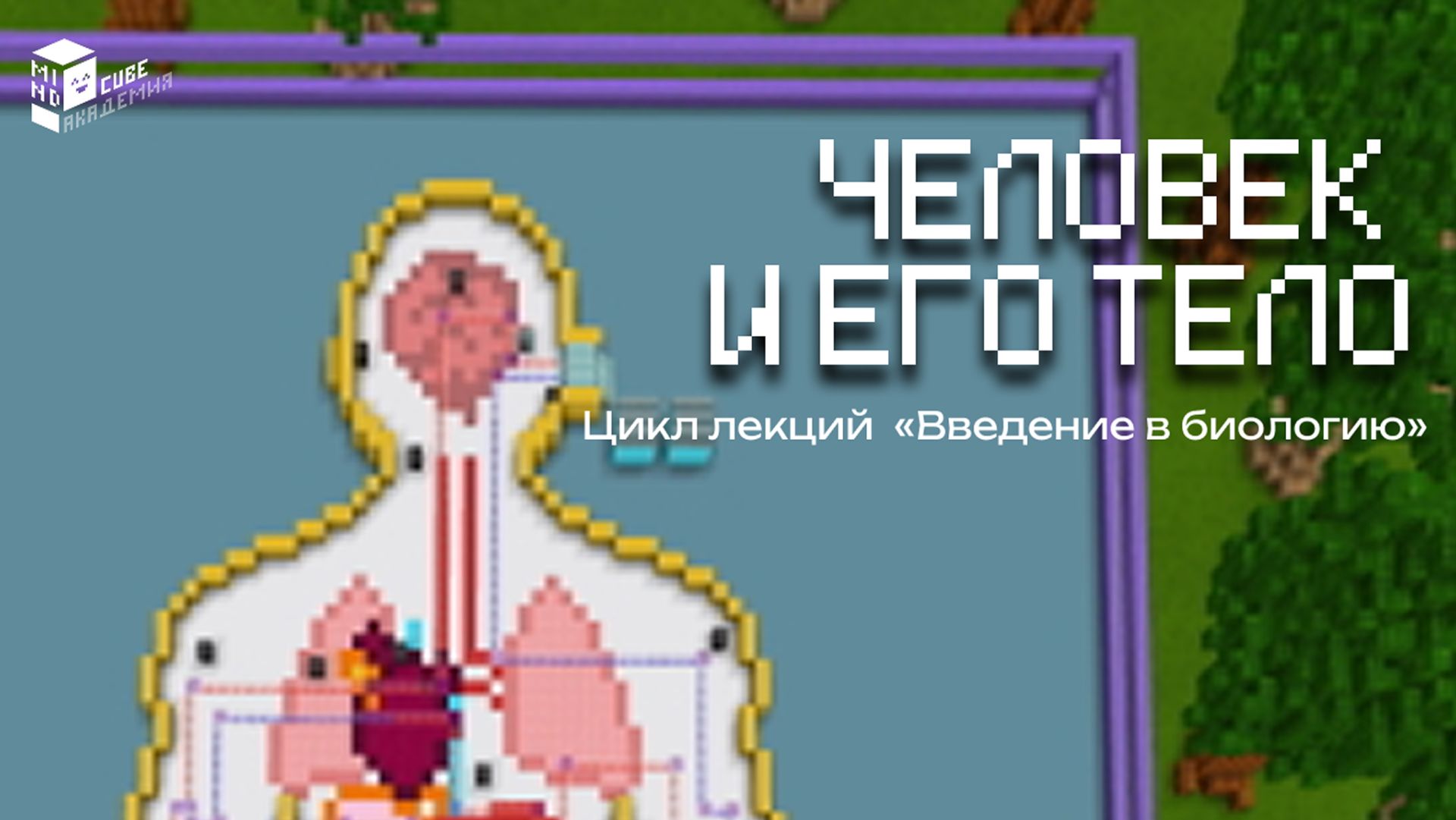 Человек и его тело | Лекция по биологии в Minecraft | MindCube Академия