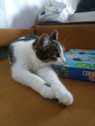 распаковка мышки