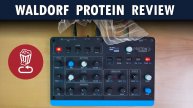 Waldorf Protein Review