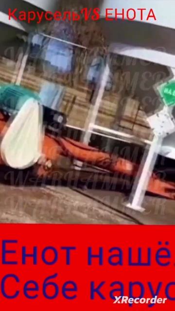 ЕНОТ НАШЁЛ СЕБЕ КАРУСЕЛЬ!!