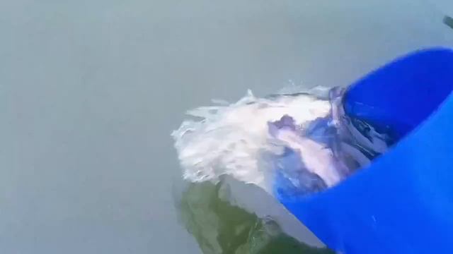 Запуск 09.12.25