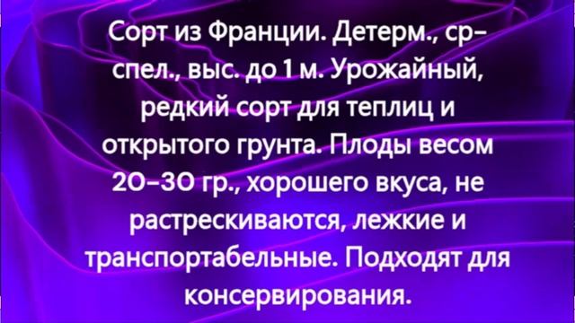 СКИДКИ на СЕМЕНА! Каталог томатов на 2026 год. Часть 13. г. Киров. т. 89229284031