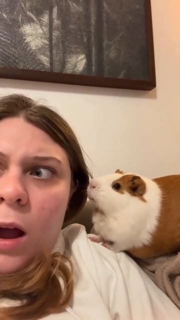 Хомяк неоевразиец Дугин