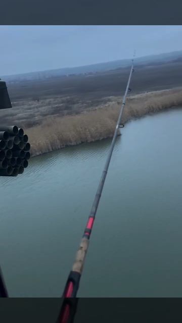 Ловим огромных щук! Рыбалка на дорожку (троллинг) штука универсальная и годится в любых ситуациях!