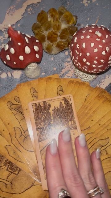 ДУХИ РОДА НА СВЯЗИ! #таро #гадание