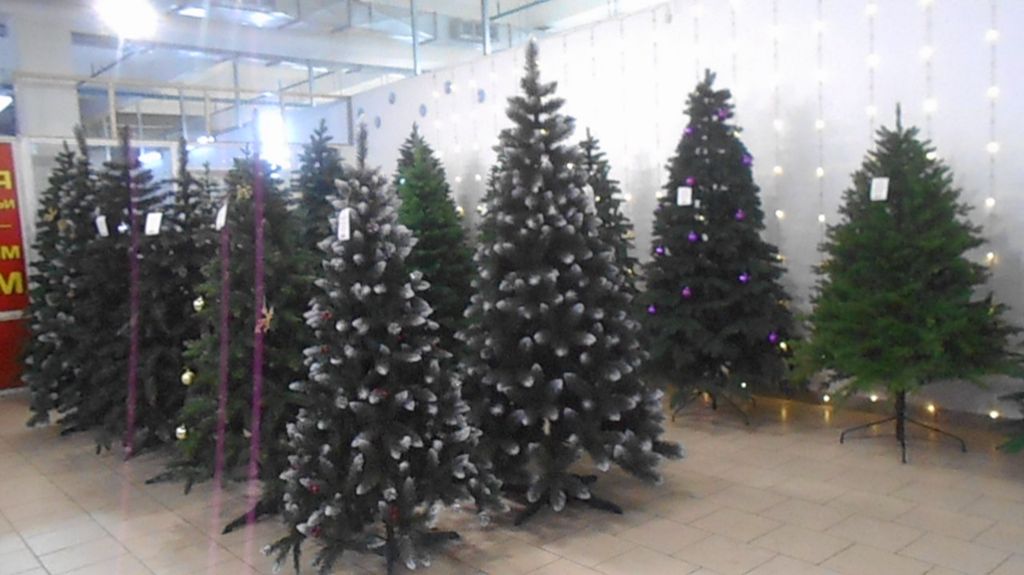 ПРОГУЛКА В МАГАЗИН