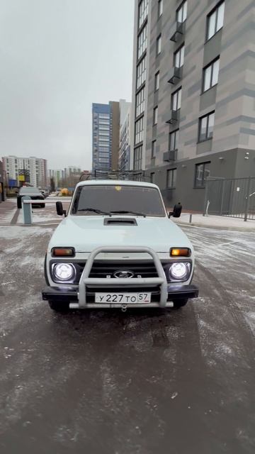 Нивасик хулиган