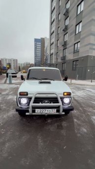 Нивасик хулиган