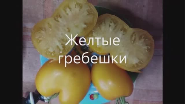 СКИДКИ на СЕМЕНА!  Каталог томатов на 2026 год. Часть 2. г. Киров  т. 89229284031