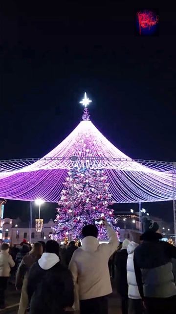 Тула. Самая Большая Ёлка России 2026. РЕКОРД ГИННЕСА. Открытие.