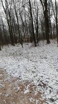 наша работа тоже связана с рисками