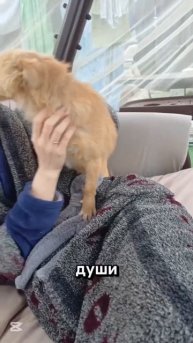 Либерти нужен дом ! контакты в тг СчастьеДаромСК