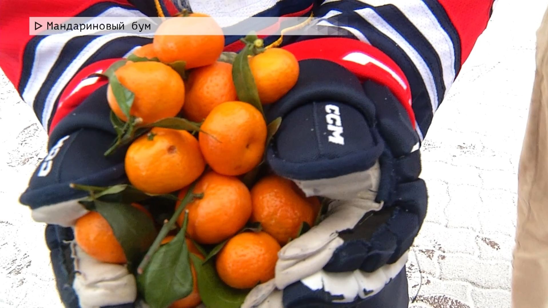 Время местное. Эфир: 09-12-2025 - Мандариновый бум