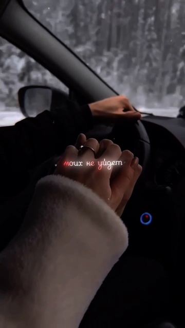 Красивая песня про любовь 💔
#cover #мойрай #ностальгия #песнидлядуши #moodvideo