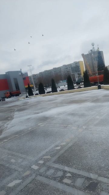 Волгодонске ставят ёлку на 2026 год 4 часть