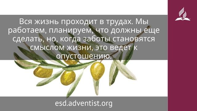 10 декабря 2025. Четвертая заповедь. Под сенью благодати | Адвентисты