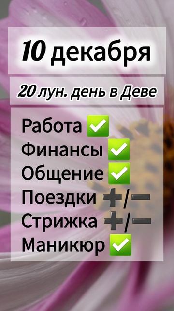 Лунный день 10 декабря 2025 года, гороскоп дня