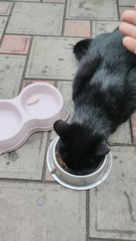 Надеюсь, красотуля поделится своим секретом сохранения стройной фигуры!