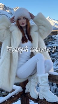 Какой полюс ?