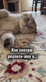 Мне было очень интересно☺️