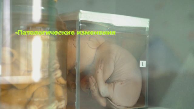 Патобиологический музей