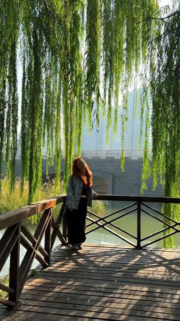 Неспешное красивое утро☀️🎋