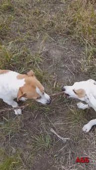 Им не бывает скучно!😂