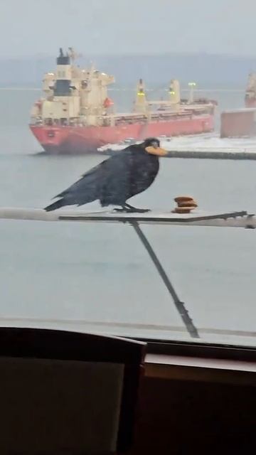 Задача максимум!