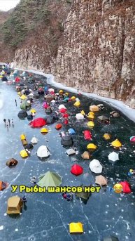 У рыбы есть шанс? 🎣😂