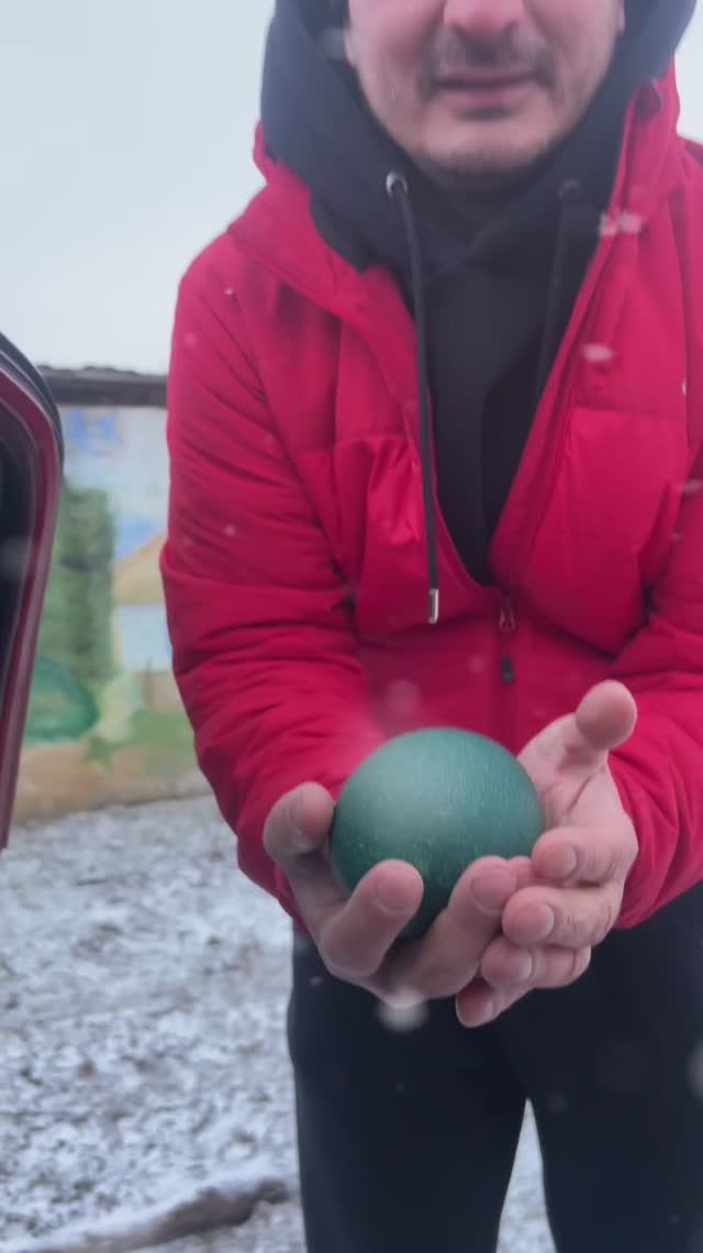 Яйцо страуса