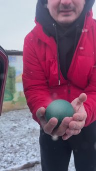 Яйцо страуса