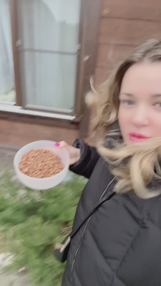 Кормлю бездомных котиков 😢😢😢котики хотят есть 😱😢😢😢