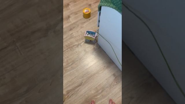 Моими глазами