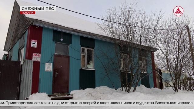 Акция "сНежный пёс"