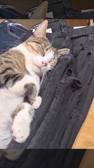 Продавец устал🤣