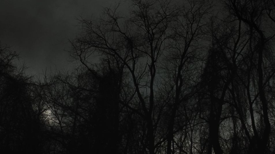 вечерний стрим GTA V RP на ALTA