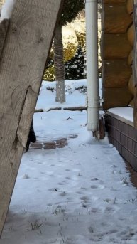 Мороз и солнце, день чудесный! 9 декабря 2025 года